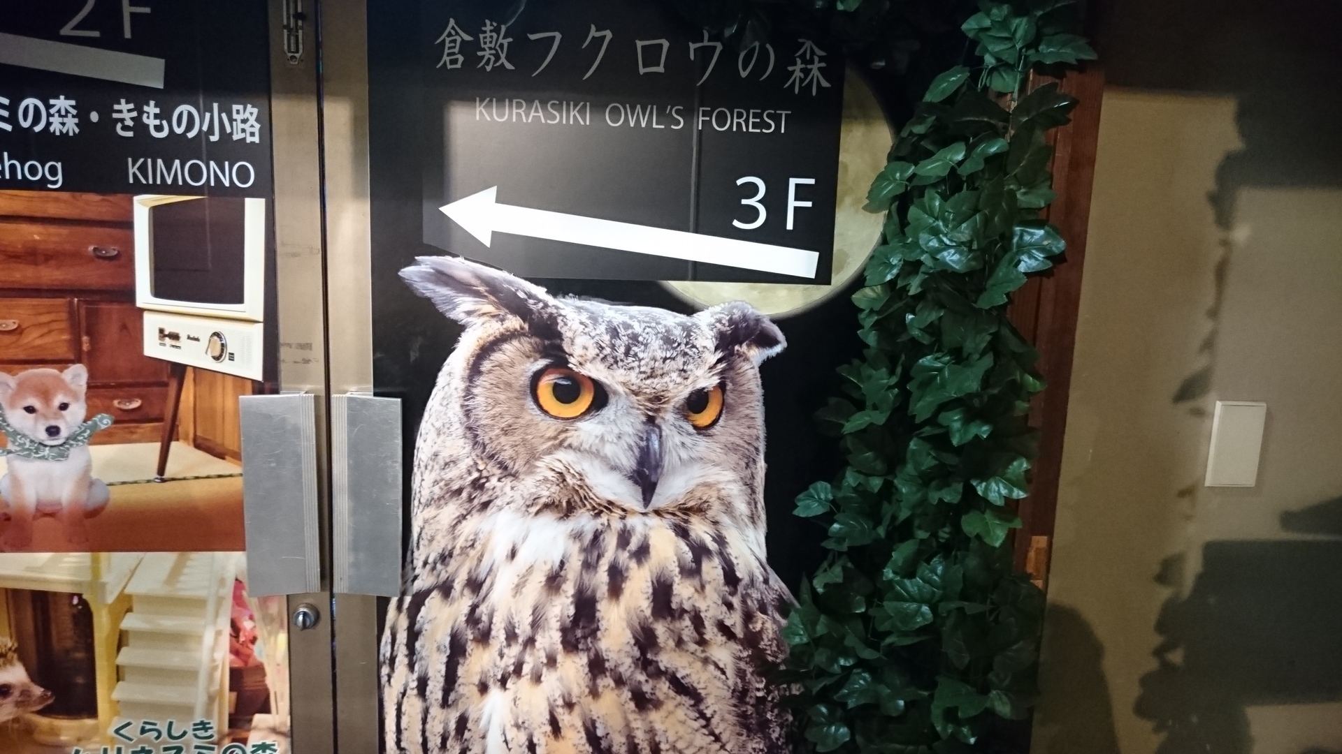 フクロウの森 岡山県倉敷市 に行ってきました かぺりんのブログ