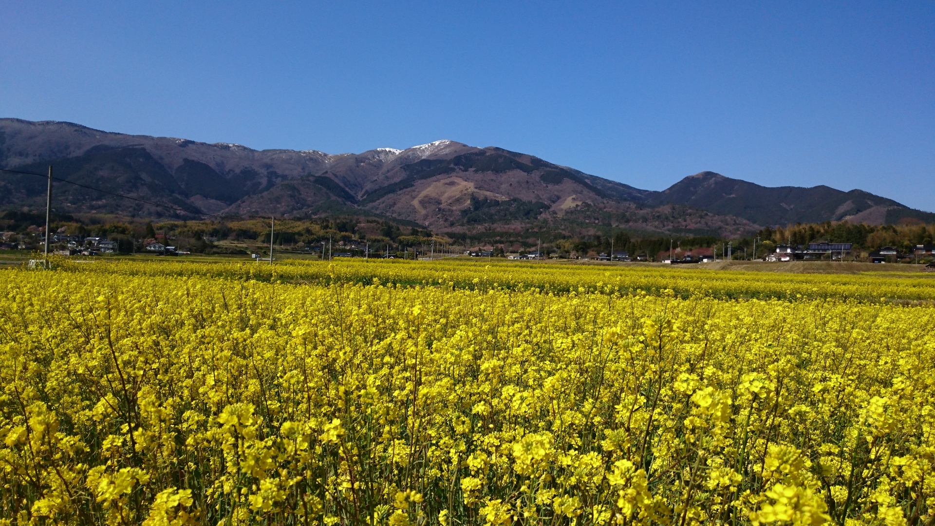 奈義町シンボルロード 岡山県勝田郡奈義町 展望台めぐり かぺりんのブログ